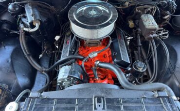 Chevrolet-silverado-1981-13