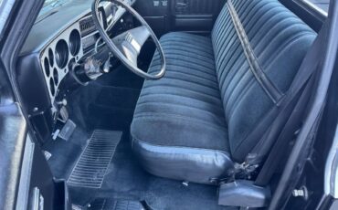 Chevrolet-silverado-1981-16
