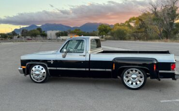 Chevrolet-silverado-1981-17