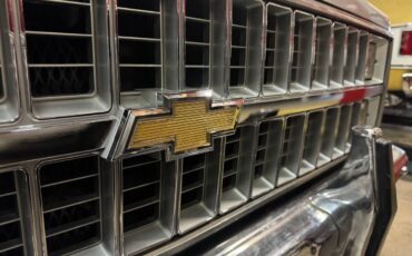 Chevrolet-silverado-1981-18