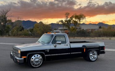 Chevrolet-silverado-1981-2