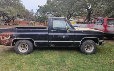 Chevrolet-silverado-1981-2