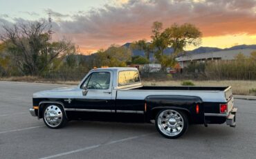 Chevrolet-silverado-1981-3