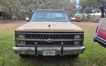 Chevrolet-silverado-1981-3