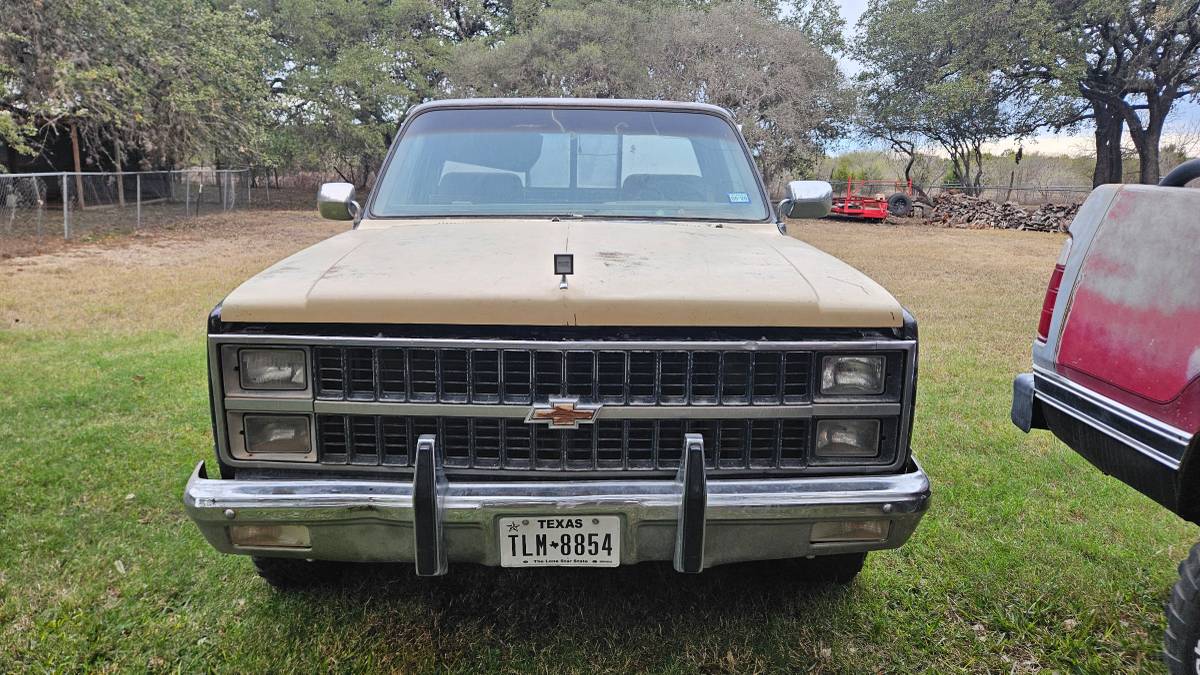 Chevrolet-silverado-1981-3