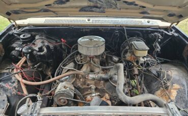 Chevrolet-silverado-1981-4