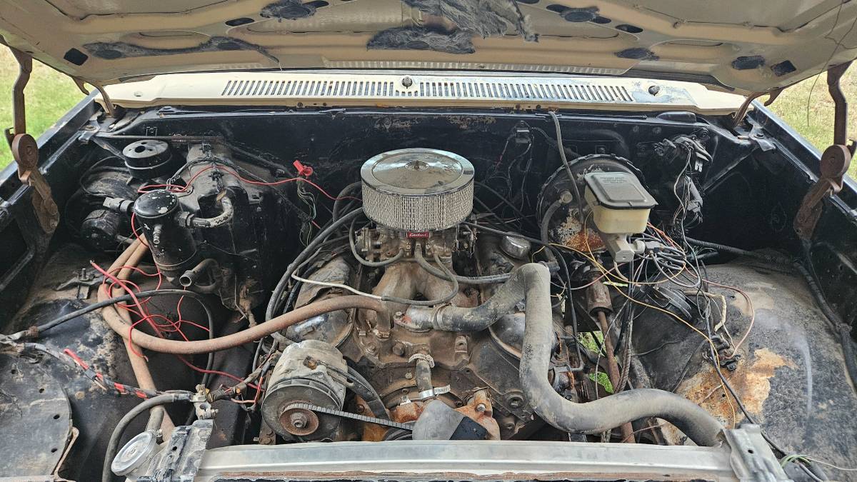 Chevrolet-silverado-1981-4