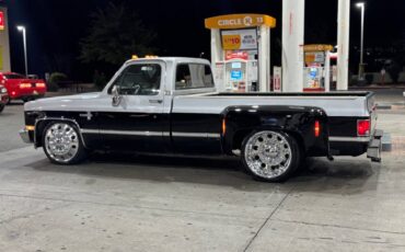 Chevrolet-silverado-1981-7