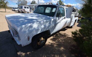 Chevrolet-silverado-3500-1977-white-20