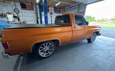 Chevrolet-silverado-c10-1980-orange-7