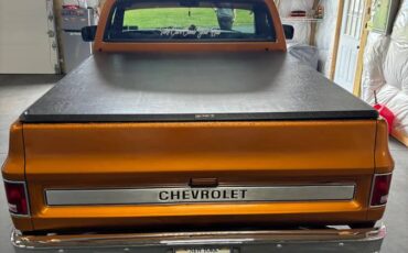 Chevrolet-silverado-c10-1980-orange-8