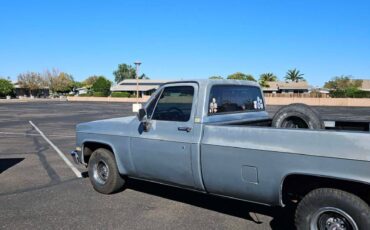 Chevrolet-silvreado-1987-grey-17