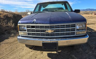 Chevrolet-stakebed-diesel-1993-1