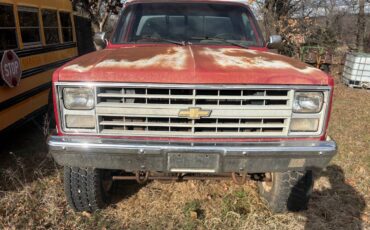 Chevrolet-v20-1987-1