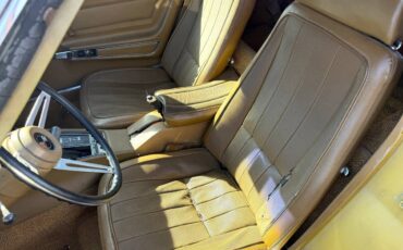 Chevrolett-corvette-stingray-1969-custom-10