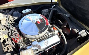 Chevrolett-corvette-stingray-1969-custom-14