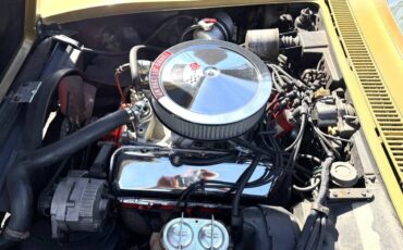 Chevrolett-corvette-stingray-1969-custom-4