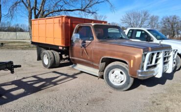 Chevy-1-ton-dump-truck-1979-custom-2