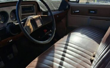 Chevy-1-ton-dump-truck-1979-custom-3