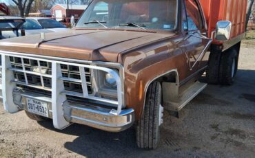 Chevy-1-ton-dump-truck-1979-custom