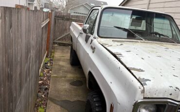 Chevy-2500-1979-white-5