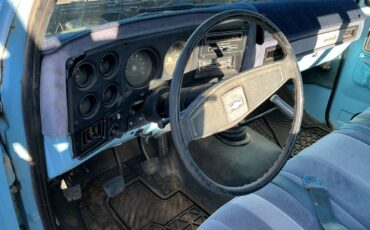 Chevy-c-30-1976-blue-3