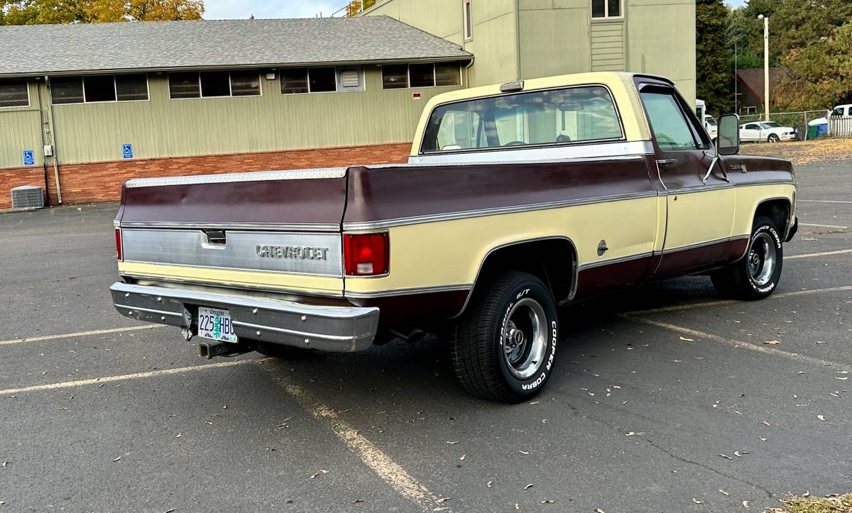 Chevy-c10-1978-custom-1