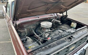 Chevy-c10-1978-custom-14