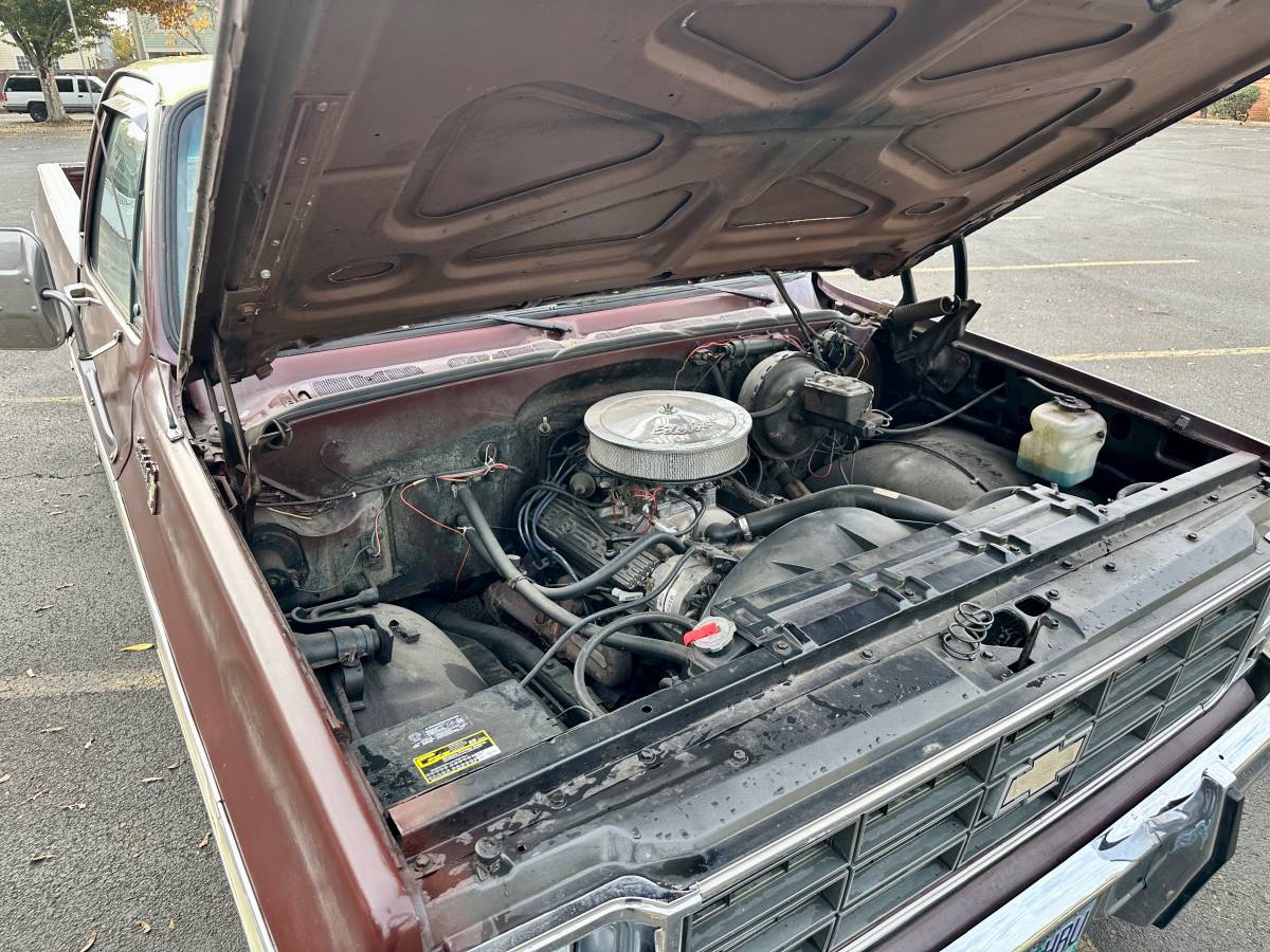 Chevy-c10-1978-custom-14