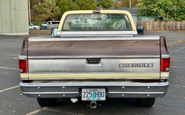 Chevy-c10-1978-custom-3