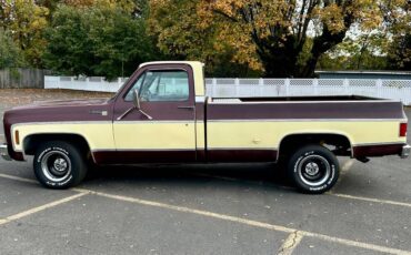 Chevy-c10-1978-custom-5