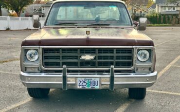 Chevy-c10-1978-custom-6