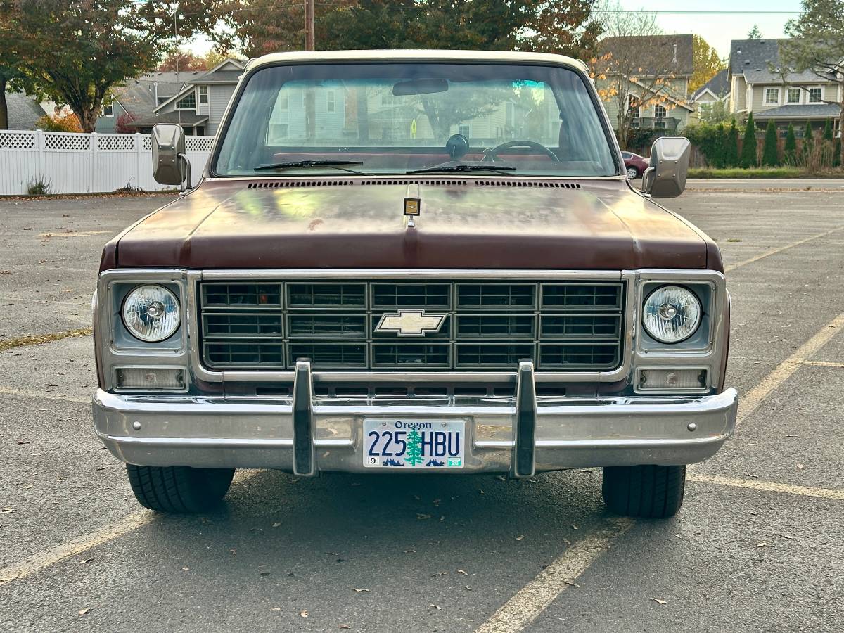 Chevy-c10-1978-custom-6