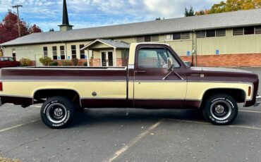 Chevy-c10-1978-custom-7