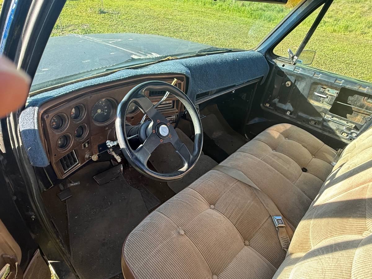 Chevy-c10-truck-1974-blue-7