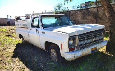 Chevy-c10-truck-1974-white-2