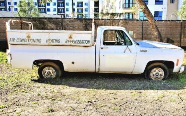 Chevy-c10-truck-1974-white-3
