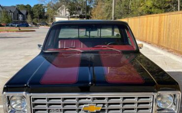 Chevy-c10-truck-1976-black-1