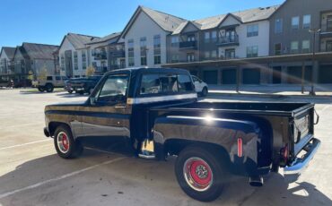 Chevy-c10-truck-1976-black-7
