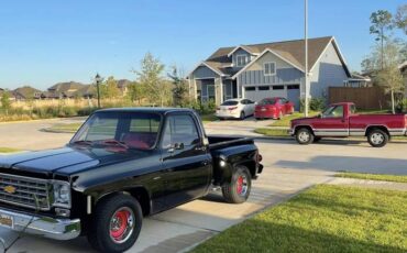 Chevy-c10-truck-1976-black-9