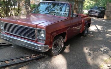 Chevy-c10-truck-1978-custom-5