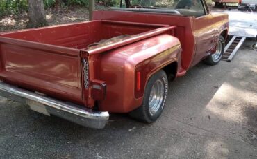 Chevy-c10-truck-1978-custom-6