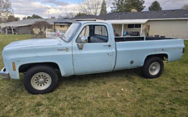 Chevy-c20-1979-blue-4