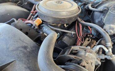 Chevy-c20-1979-blue-8