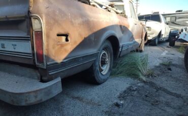 Chevy-c20-long-bed-1971-3