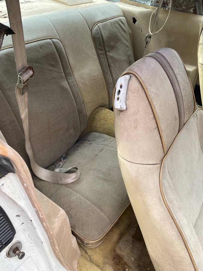 Chevy-camaro-z28-1981-11