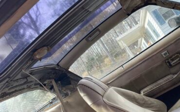 Chevy-camaro-z28-1981-12