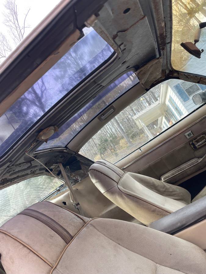 Chevy-camaro-z28-1981-12