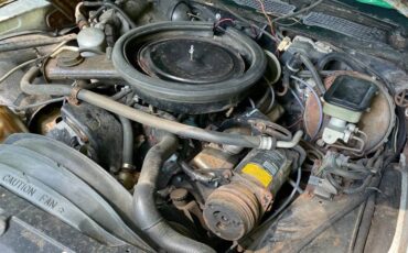 Chevy-camaro-z28-1981-14