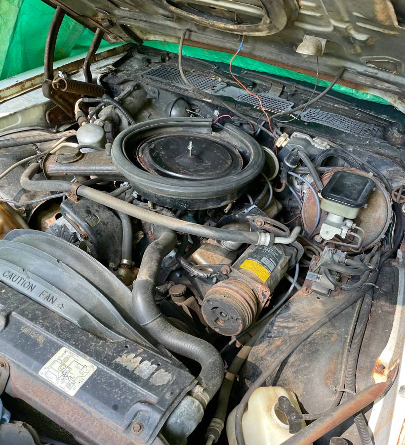 Chevy-camaro-z28-1981-14